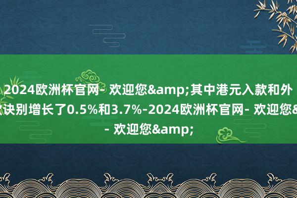 2024欧洲杯官网- 欢迎您&其中港元入款和外币入款诀别增长了0.5%和3.7%-2024欧洲杯官网- 欢迎您&