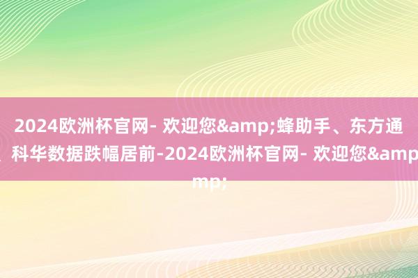 2024欧洲杯官网- 欢迎您&蜂助手、东方通、科华数据跌幅居前-2024欧洲杯官网- 欢迎您&